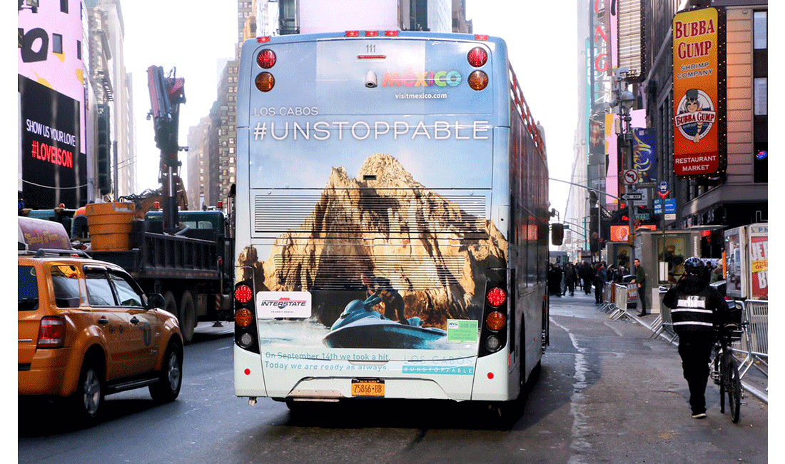     Full Back Bus Ads