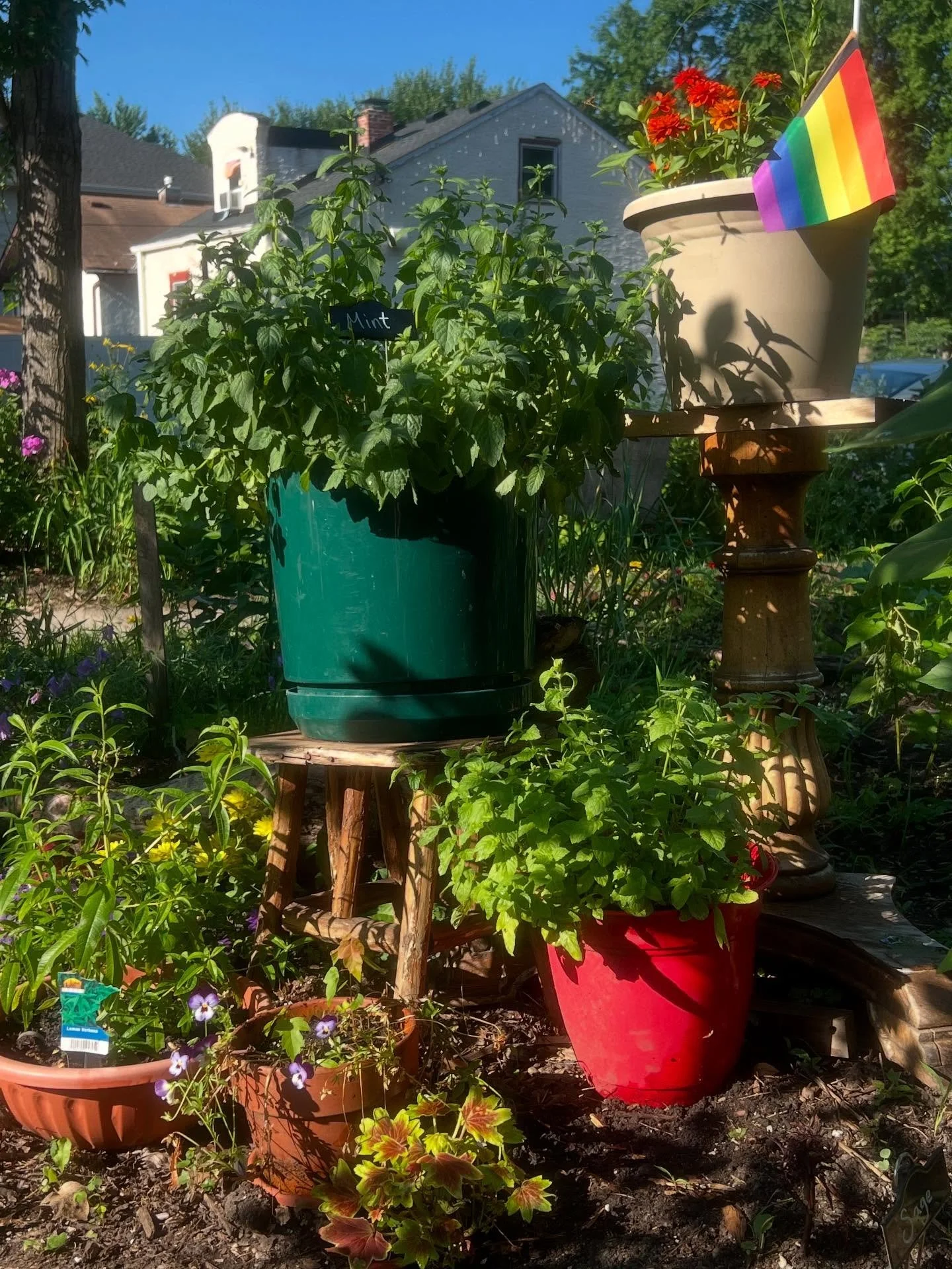 Reminder about events this week! 

Wednesday from 5-7 letter writing to elected officials. This is a personal led activity for whatever is on your heart. Just want to make sure we are engaging and letting our Lu loc servants know what we think and wh