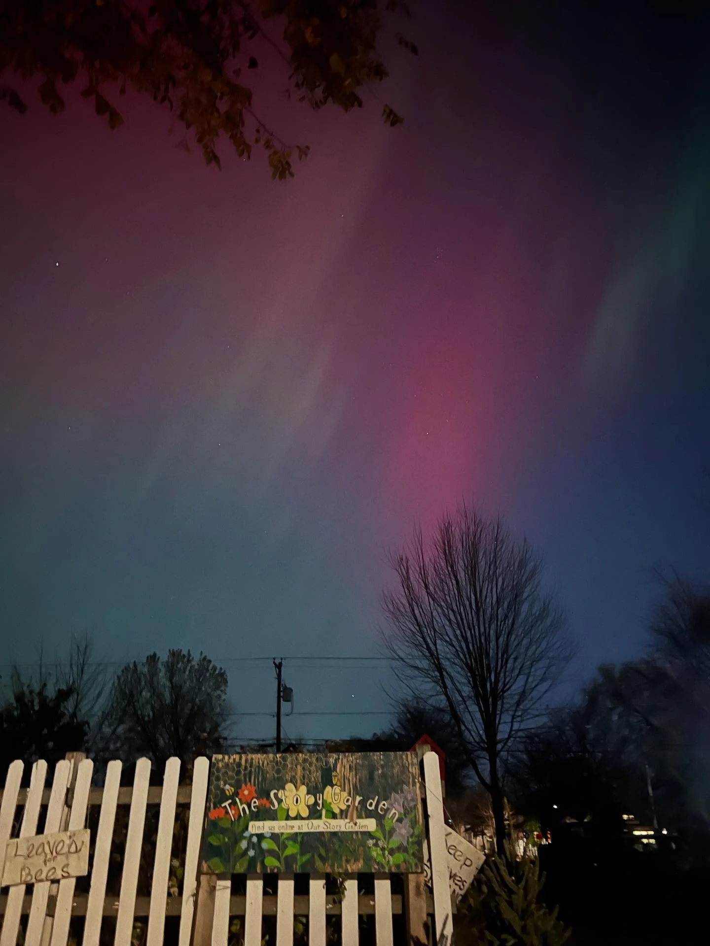 The beautiful northern lights watching over the garden as she sleeps. 🥰