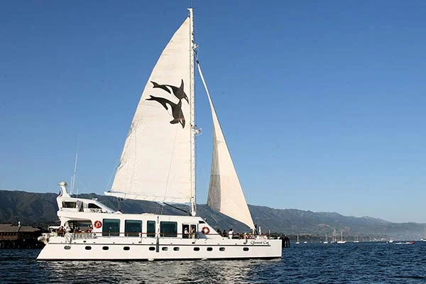 Channel Cat 01.jpg