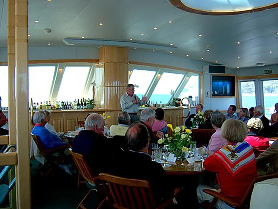 Channel Cat 05.jpg