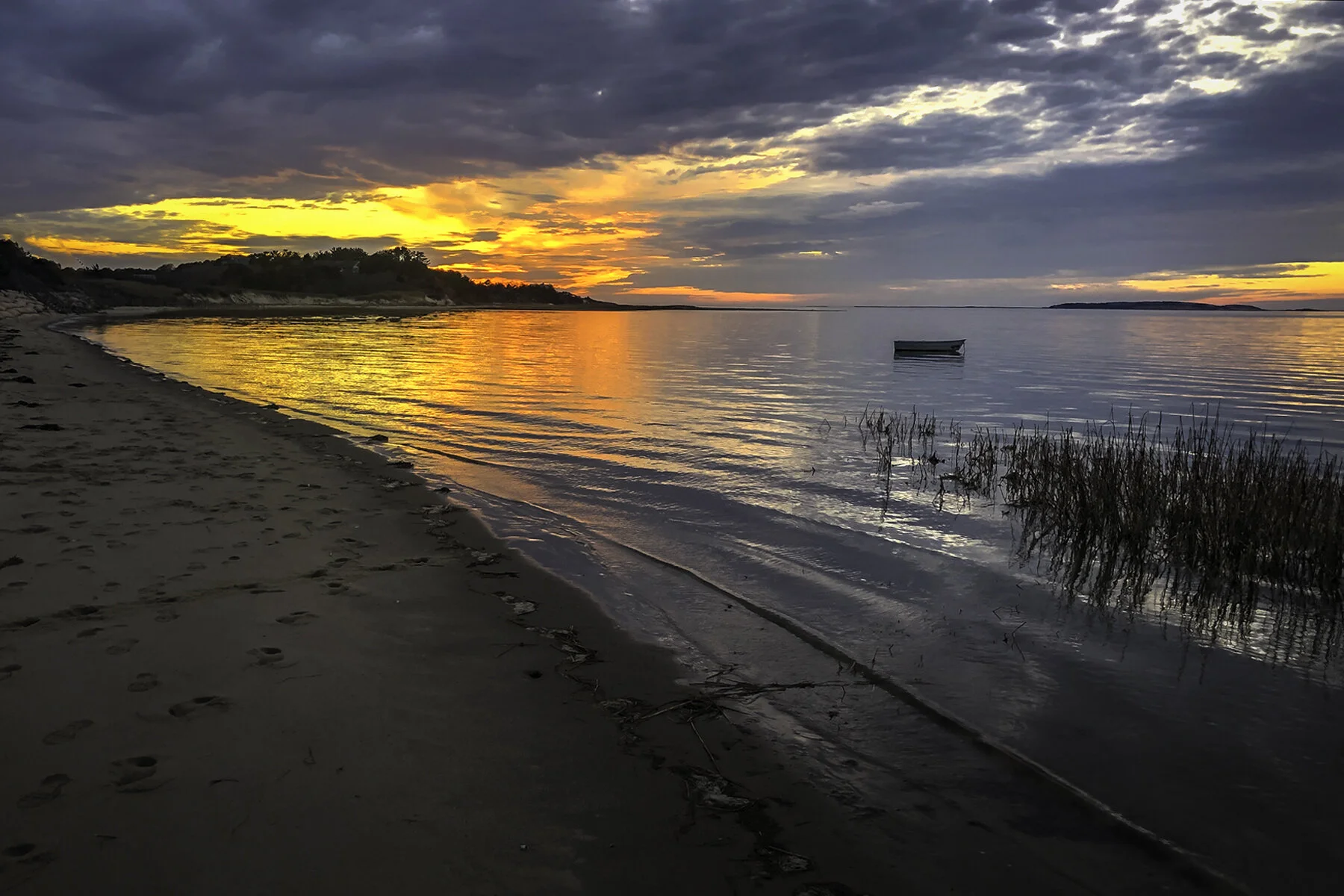 Wellfleet 03.JPG