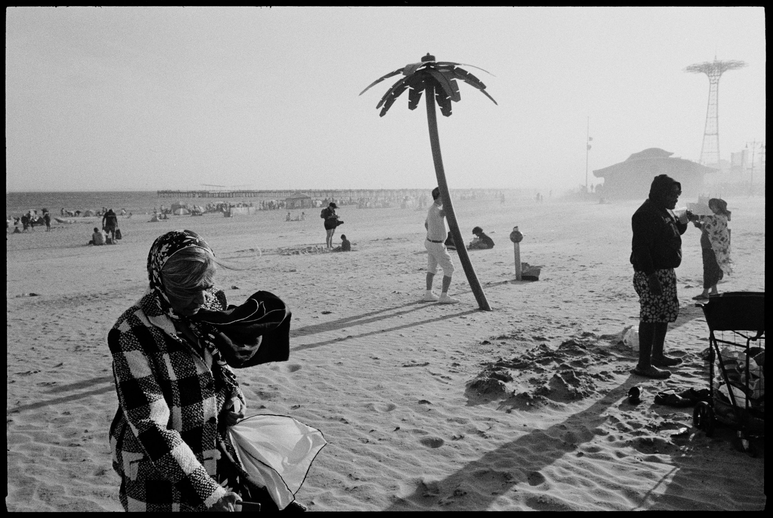 5.29.23-2 old woman and palm tree  001 copy.jpg