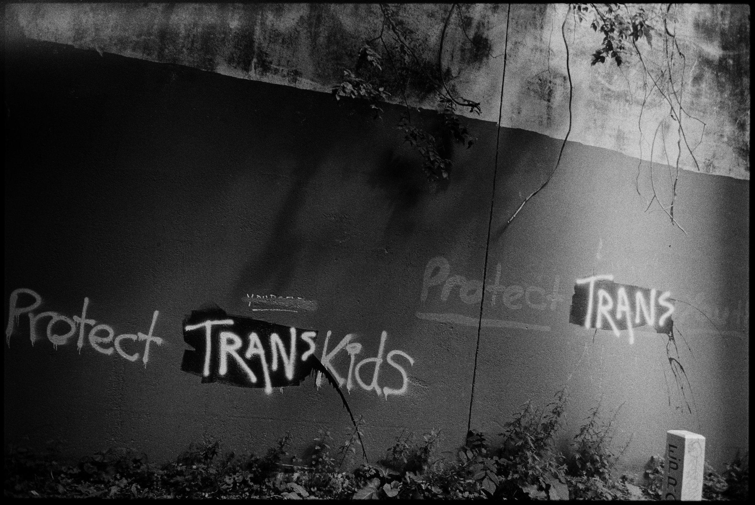 8.20.21 protect trans kids EP wall  001 copy.jpg