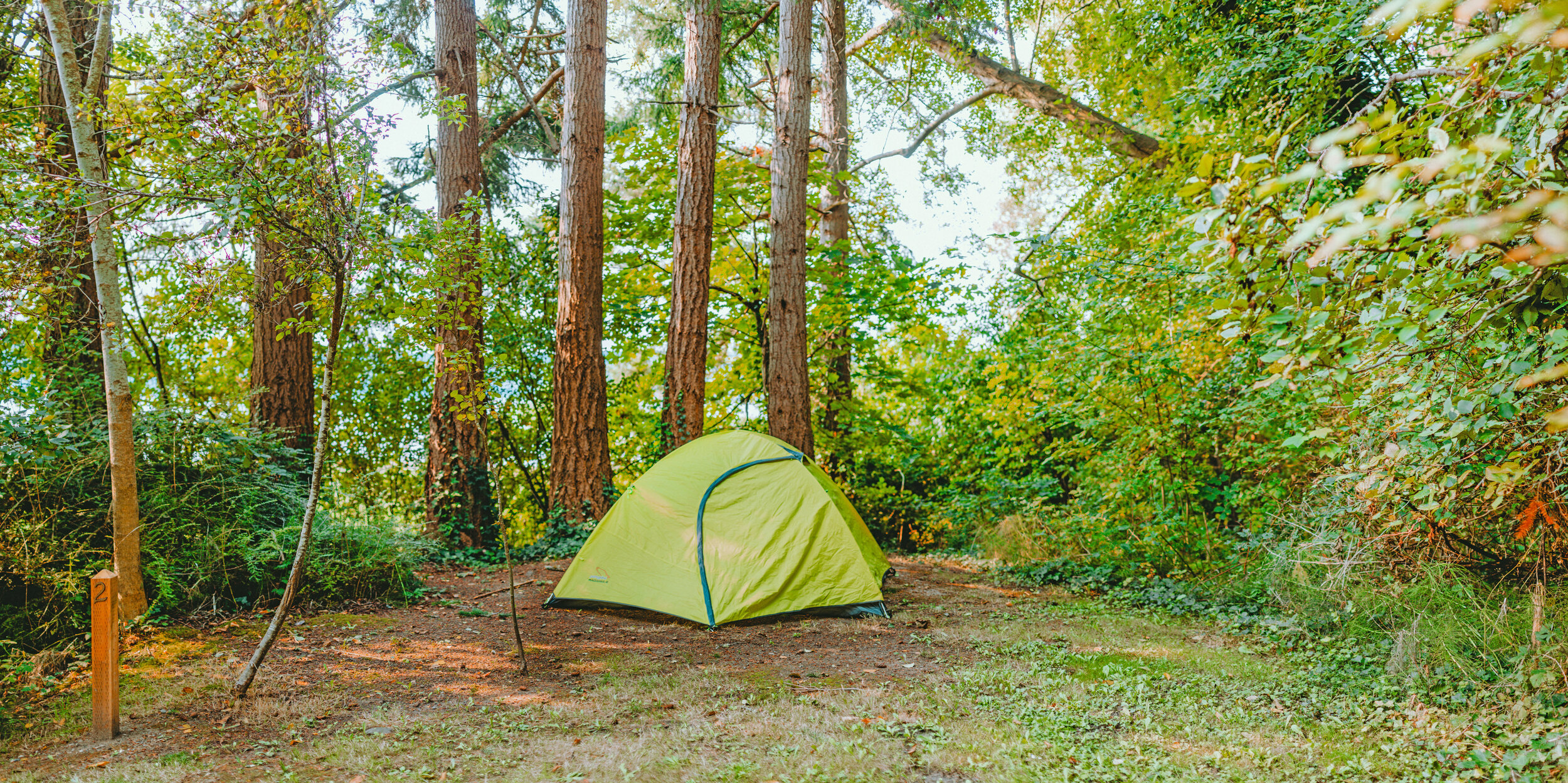 Lisabeula Campsite 2