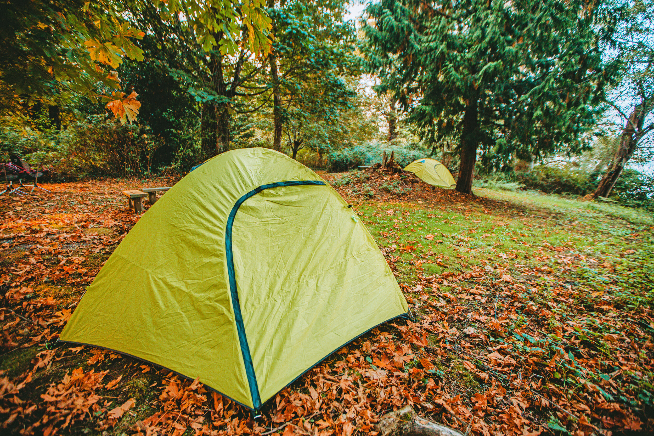 Point Robinson Campsite 2