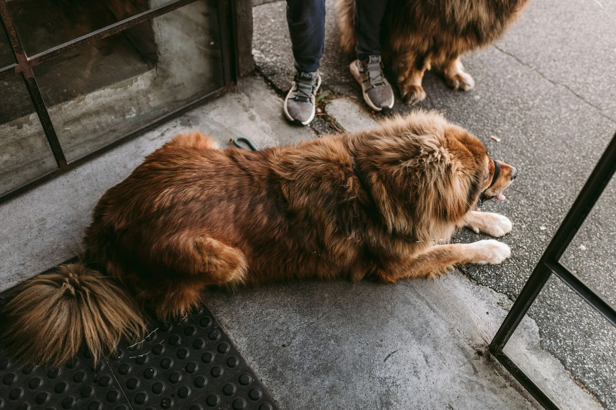 Frank&Scout_09_BTS_HR-4.jpg