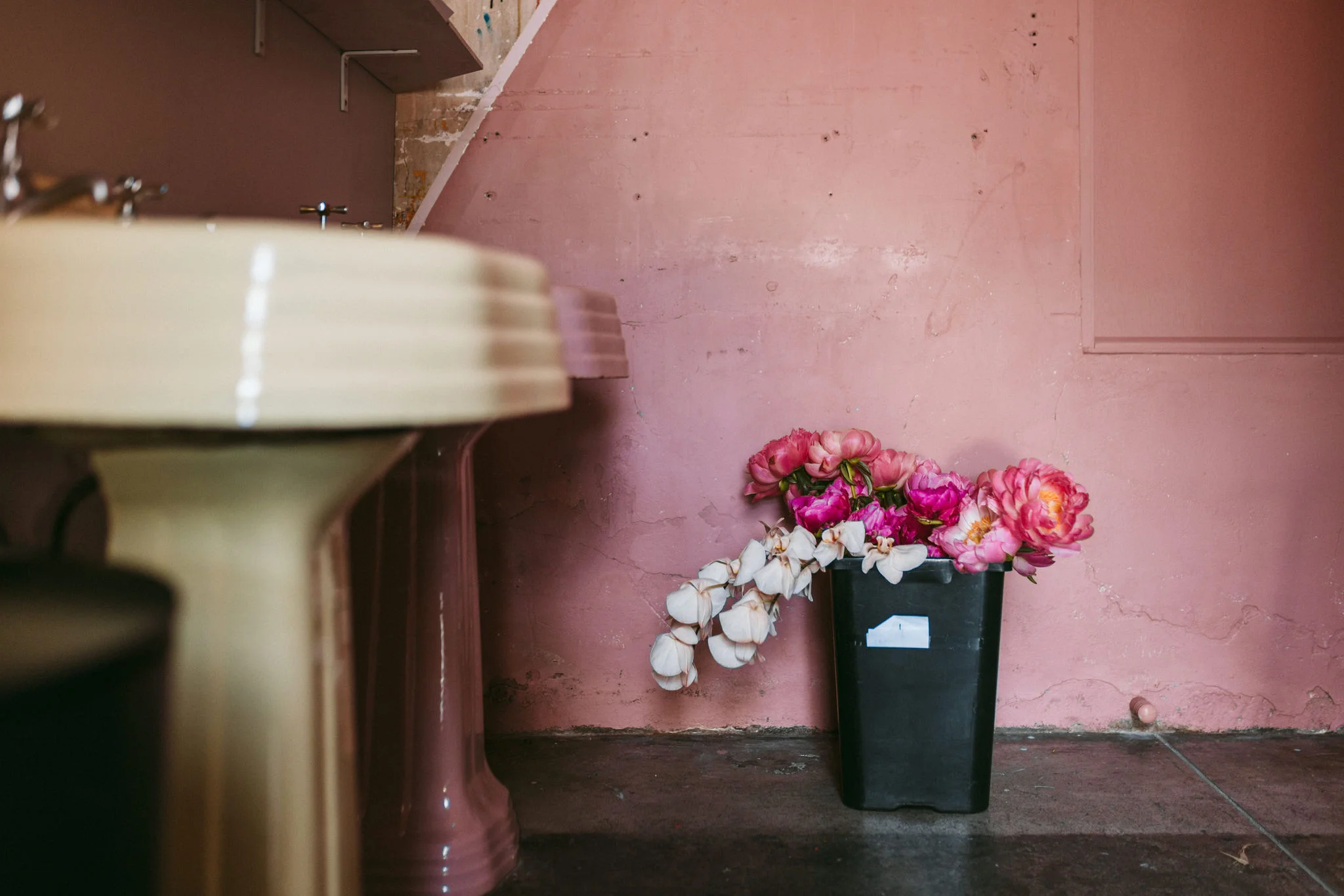 Frank&Scout_09_BTS_HR-18.jpg