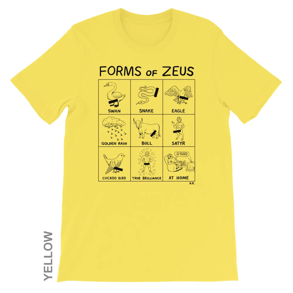 12x16_Myth_Zeus_Blac_01_mockup_Front_Flat_Yellow.jpg
