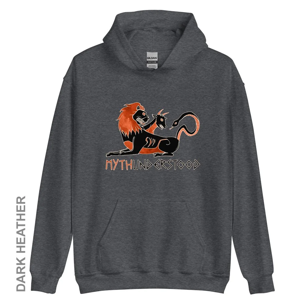 unisex-heavy-blend-hoodie-dark-heather-front-6535e81bee960.jpg