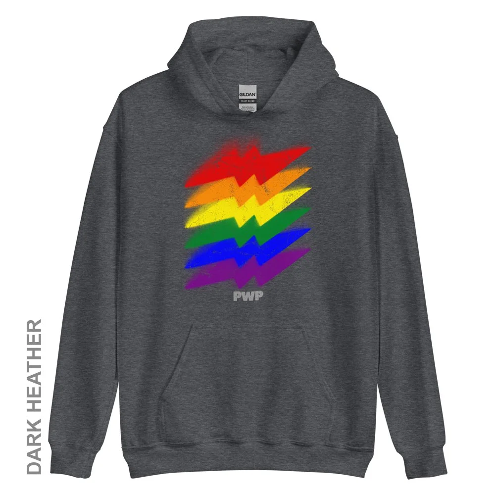 unisex-heavy-blend-hoodie-dark-heather-front-6535f0c86abd5.jpg