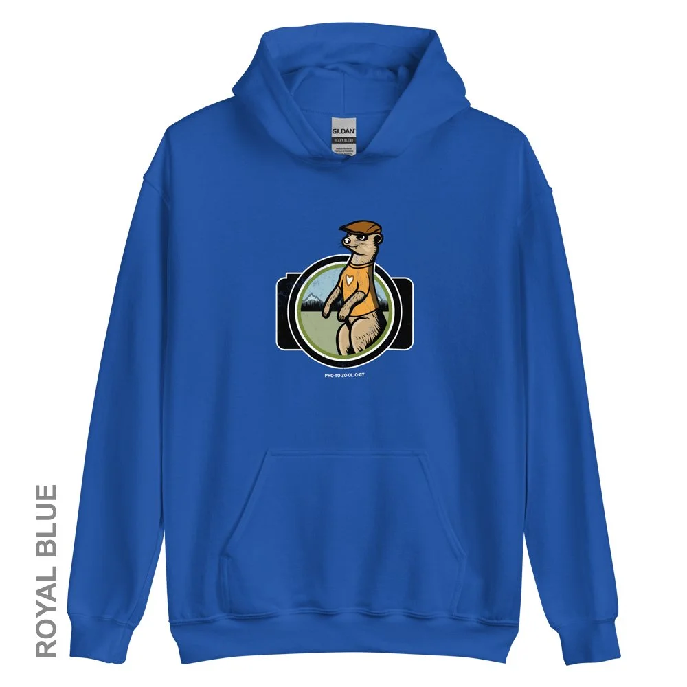 unisex-heavy-blend-hoodie-royal-front-65ec9f591677f.jpg