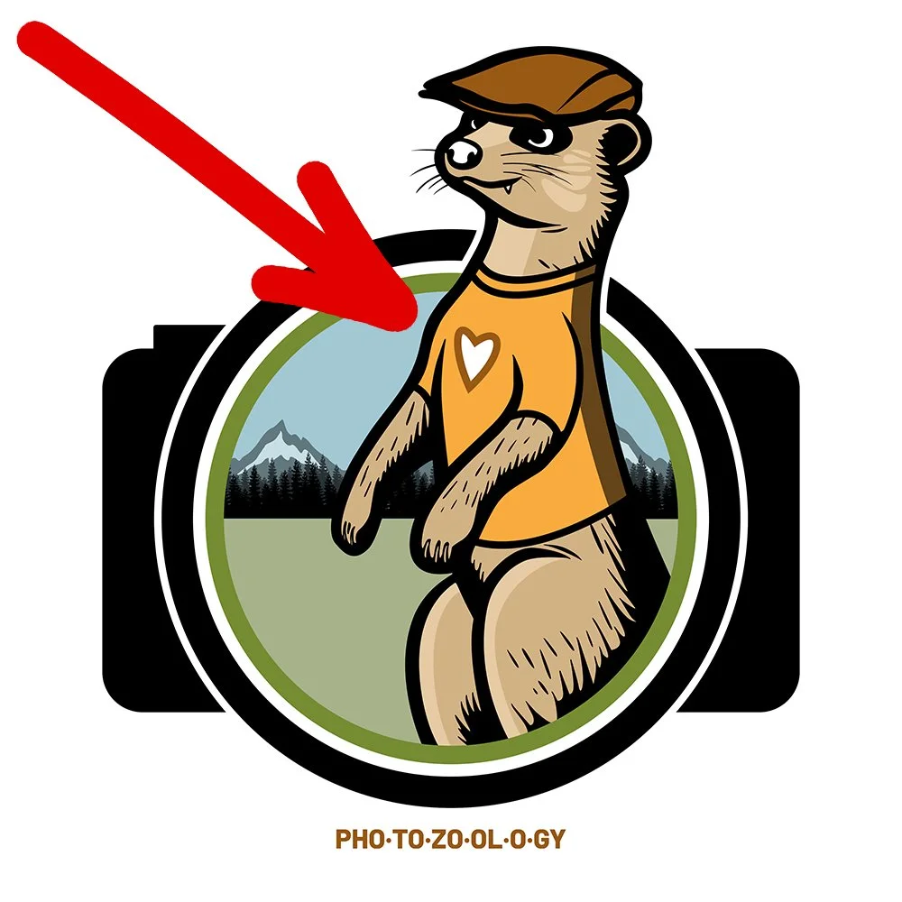 photozoology_logo_for_Shirt.jpg