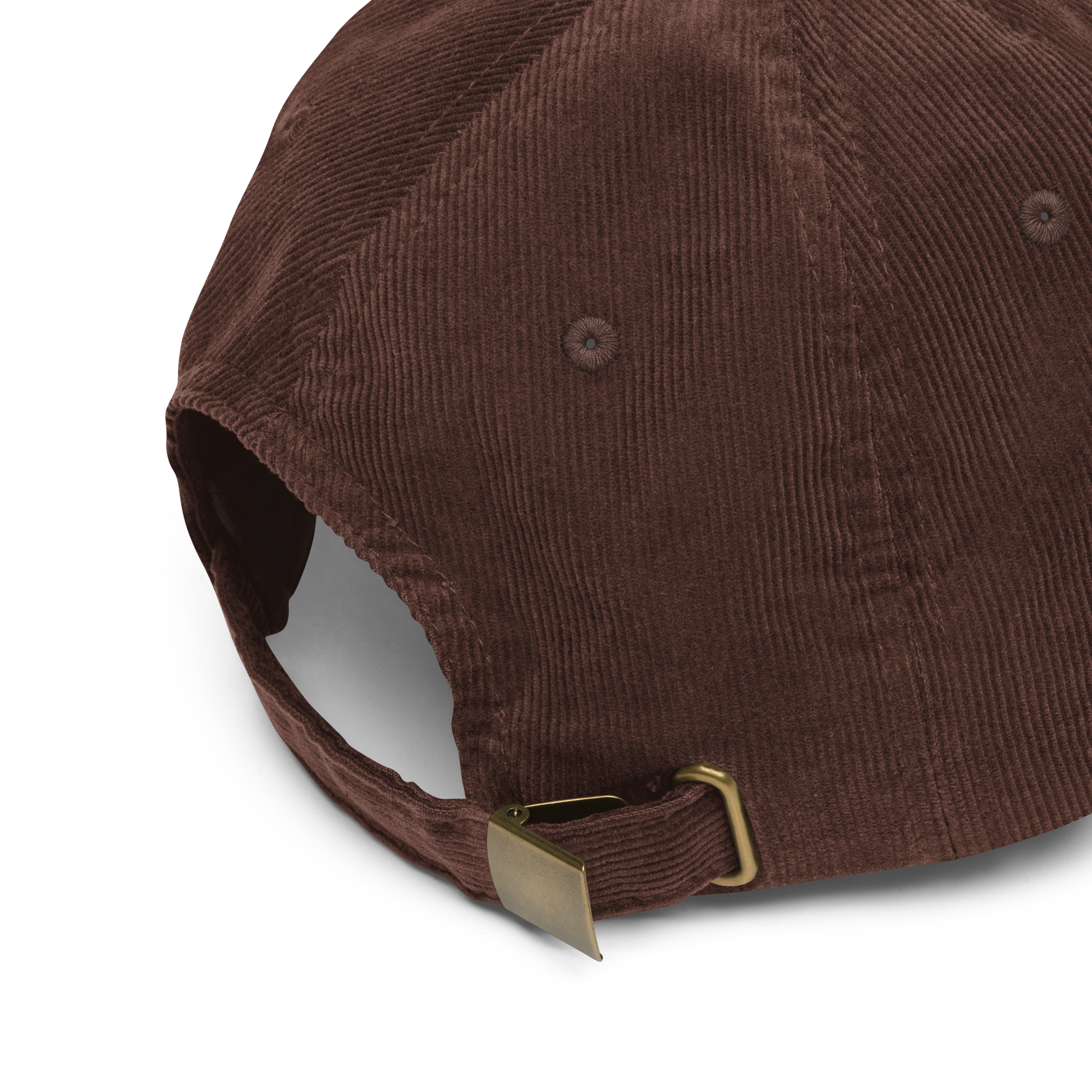 vintage-corduroy-cap-brown-product-details-678b1531e5168.png