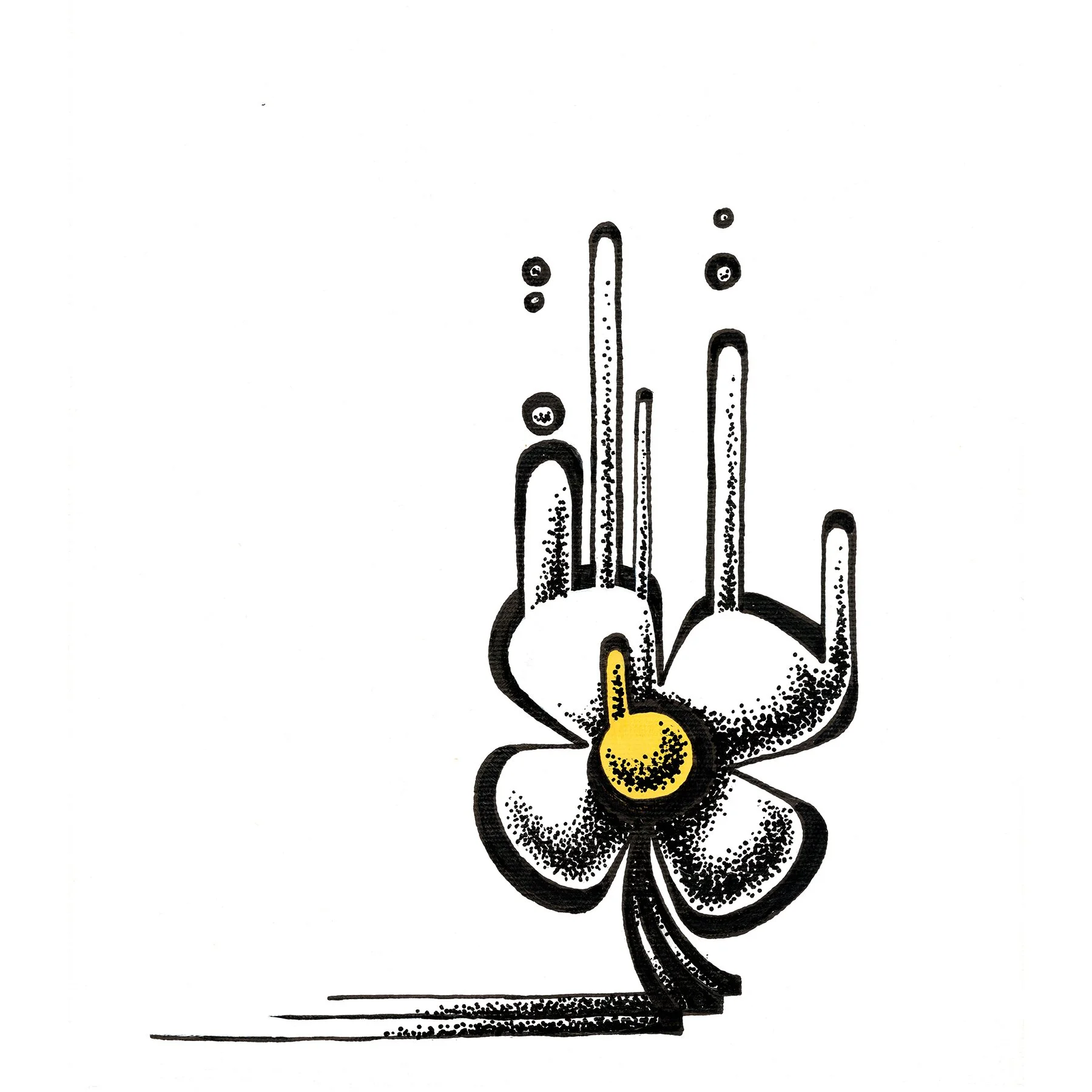WhiteFlower.jpg