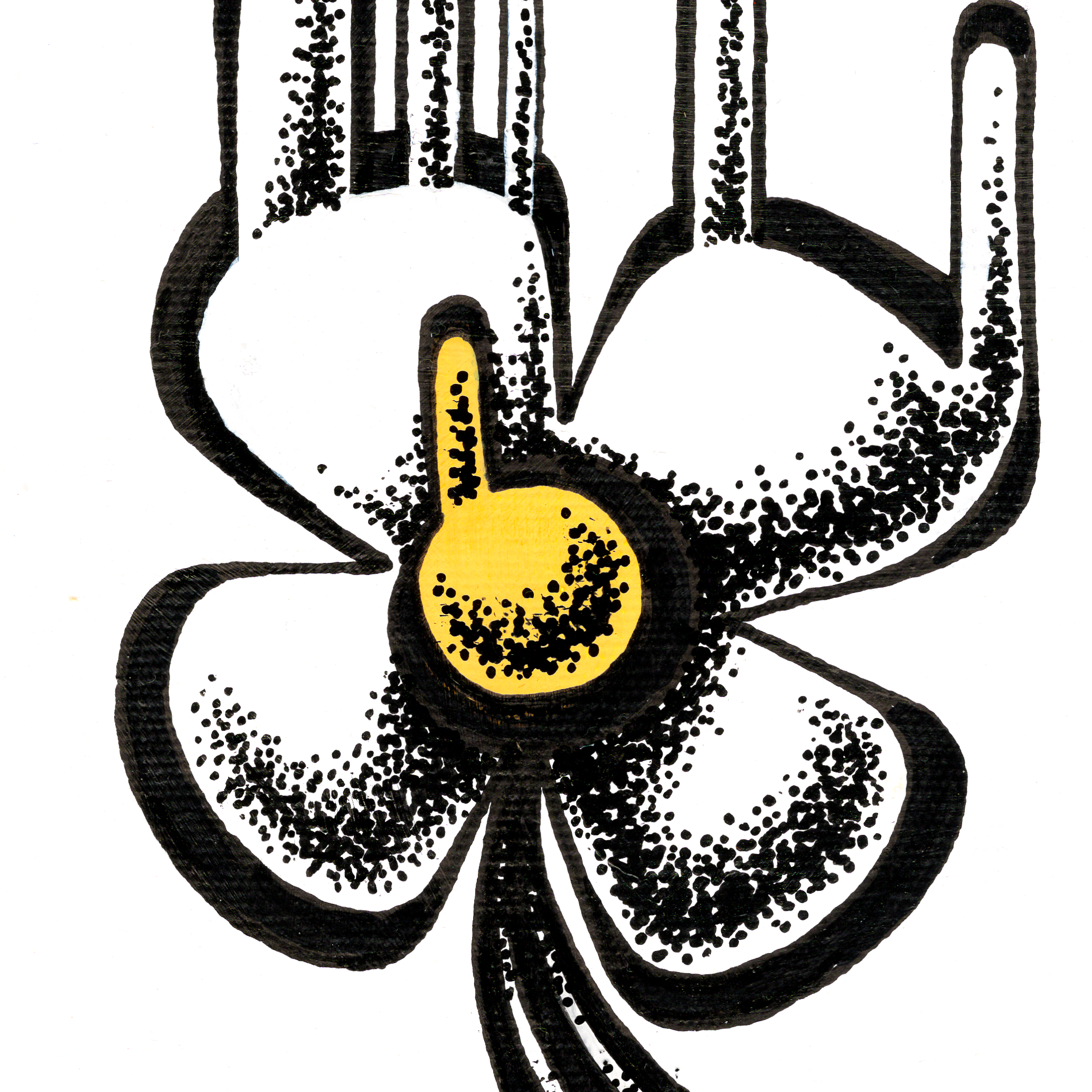 WhiteFlowerPrint2.png
