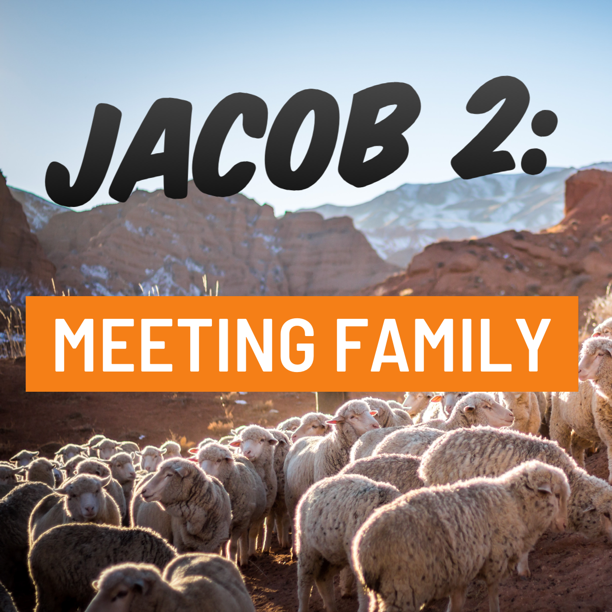 Jacob 2: Meeting Family