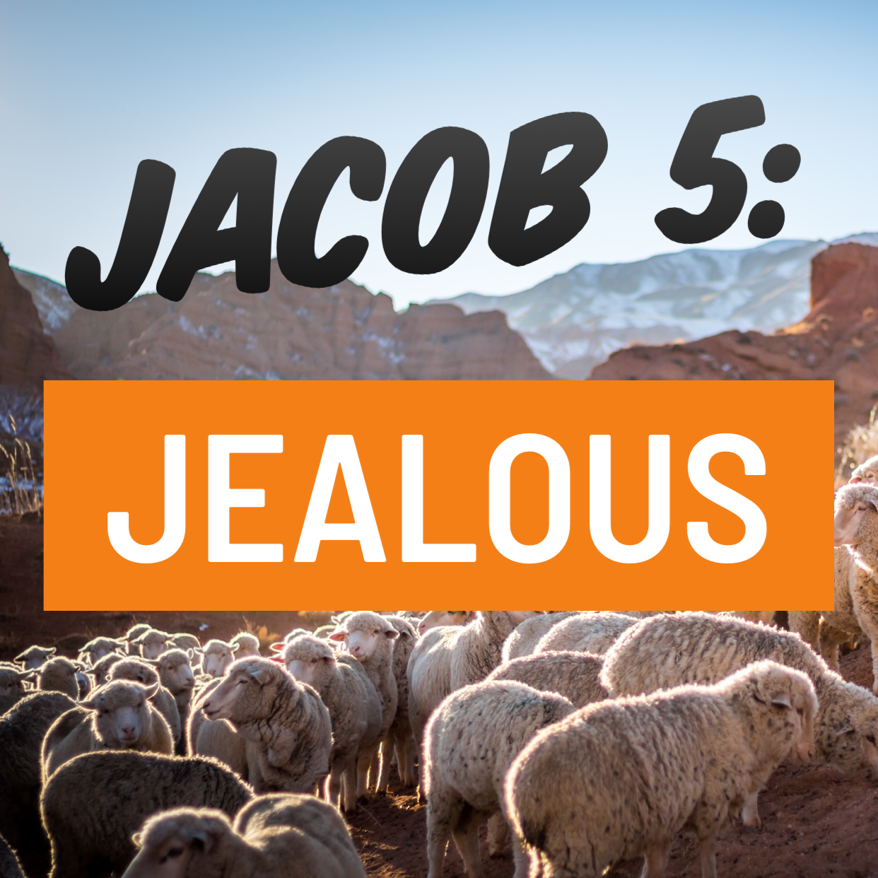 Jacob 5: Jealous