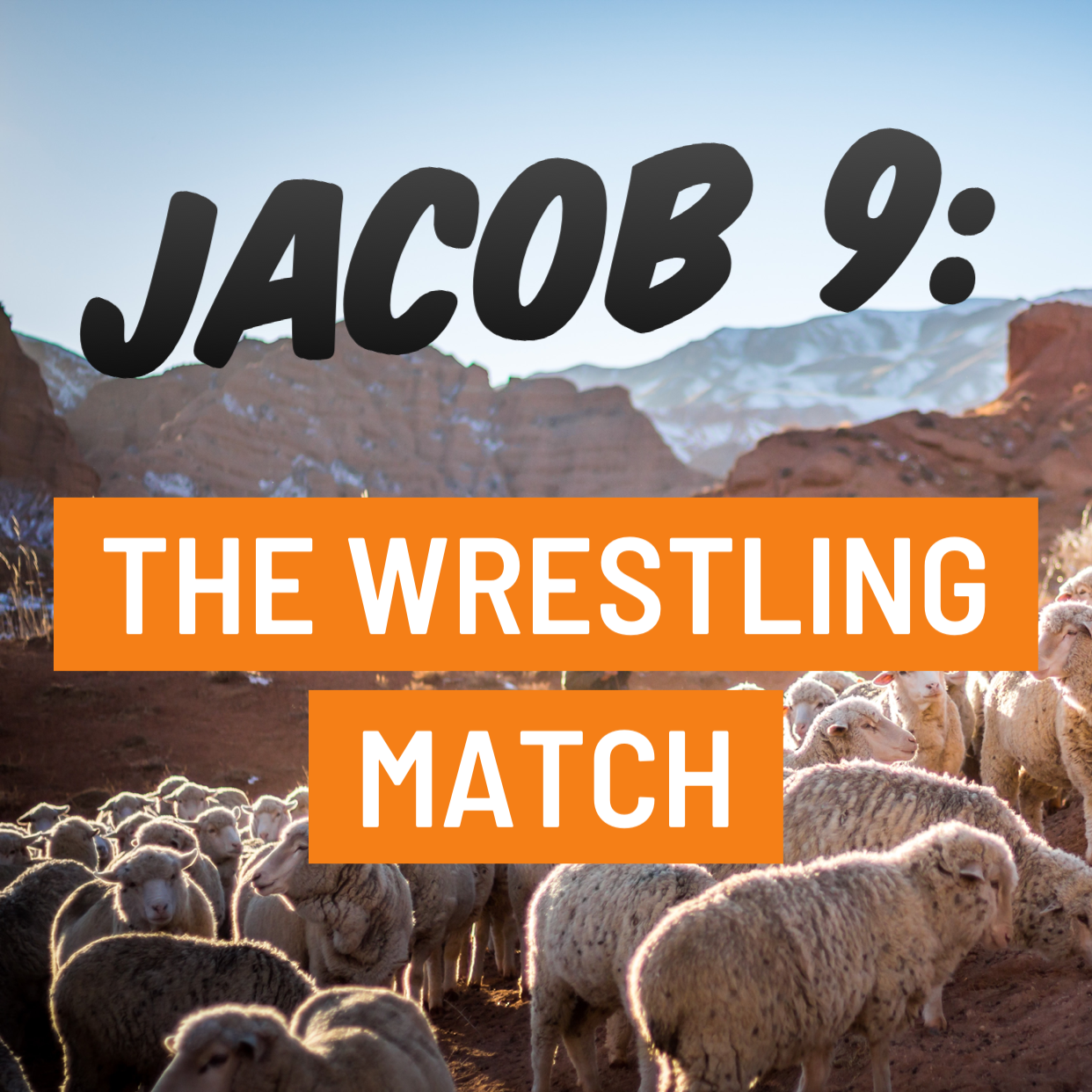 Jacob 9: The Wrestling Match