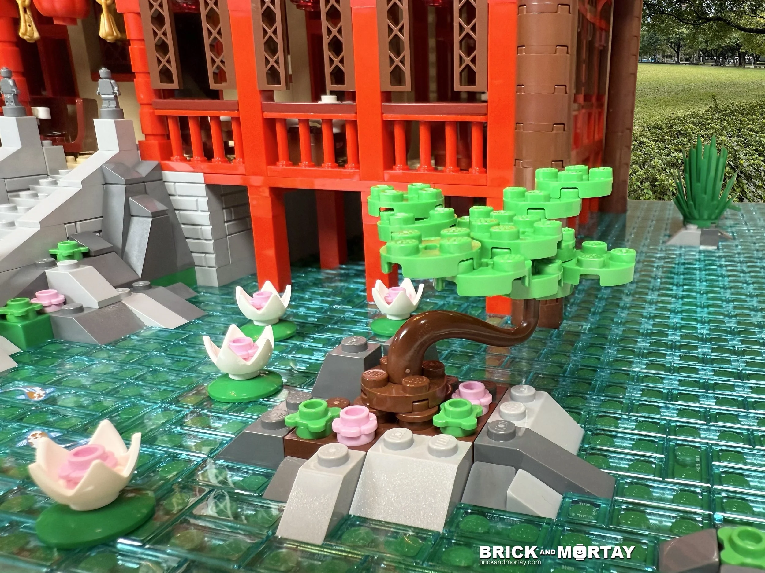 26 bonsai.jpg