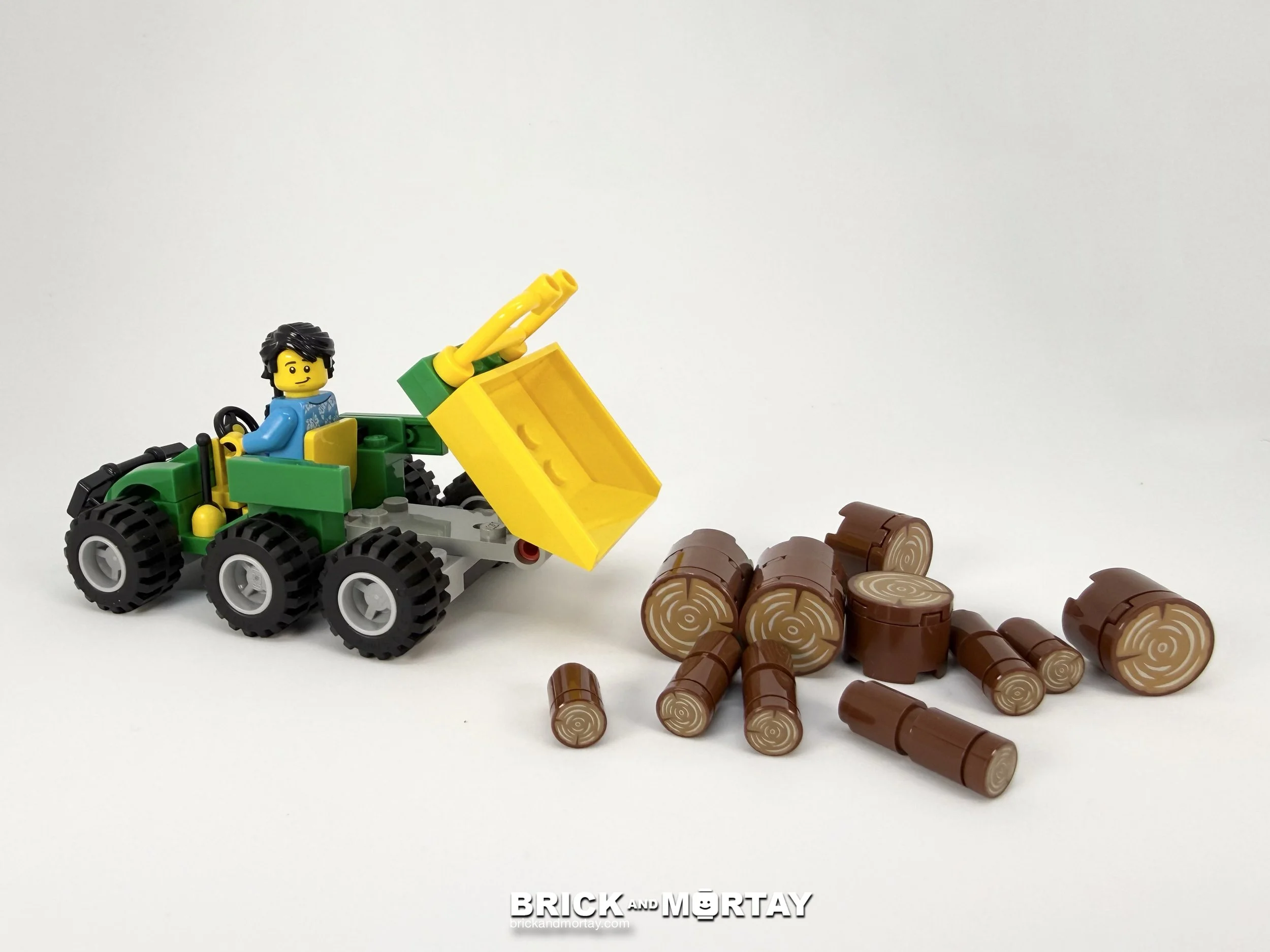 4 IMG_5583_dump logs.jpg