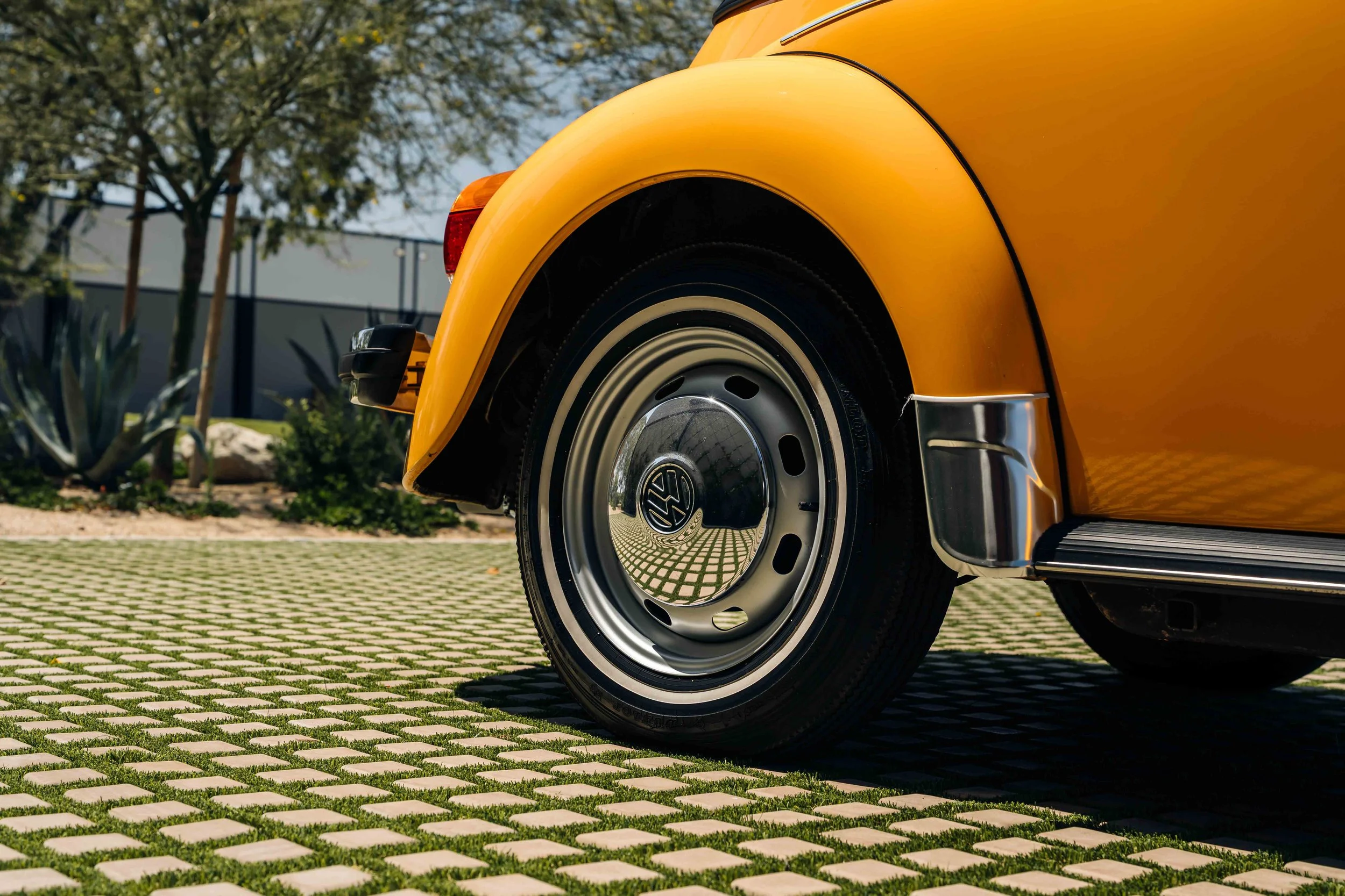 DSC04550.jpg