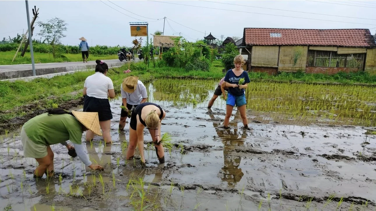 When Travel Becomes a Teacher: A Global Journey Toward Peace and Sustainability