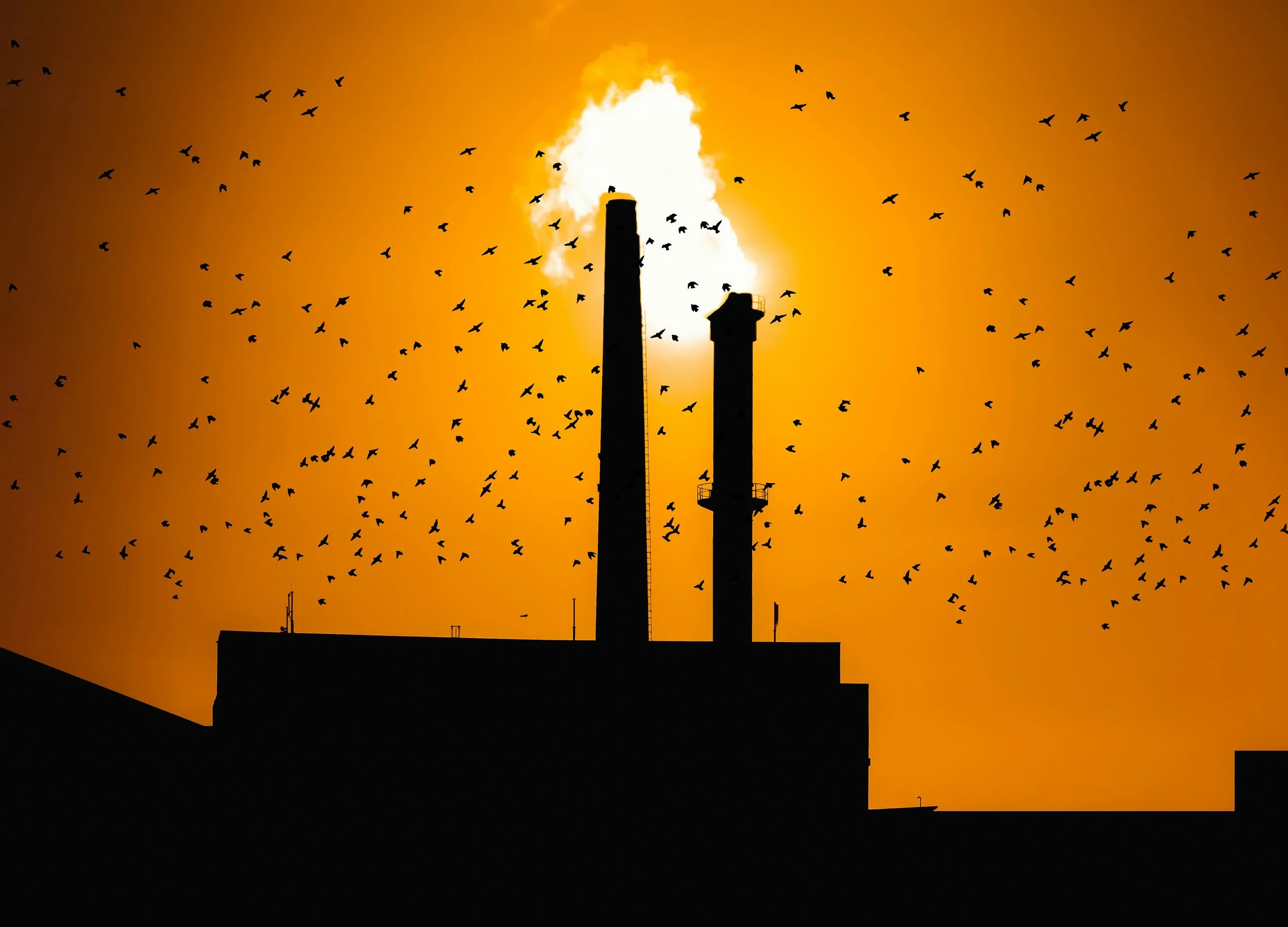 The New Nuclear Age – Can the World Still Prevent Proliferation?