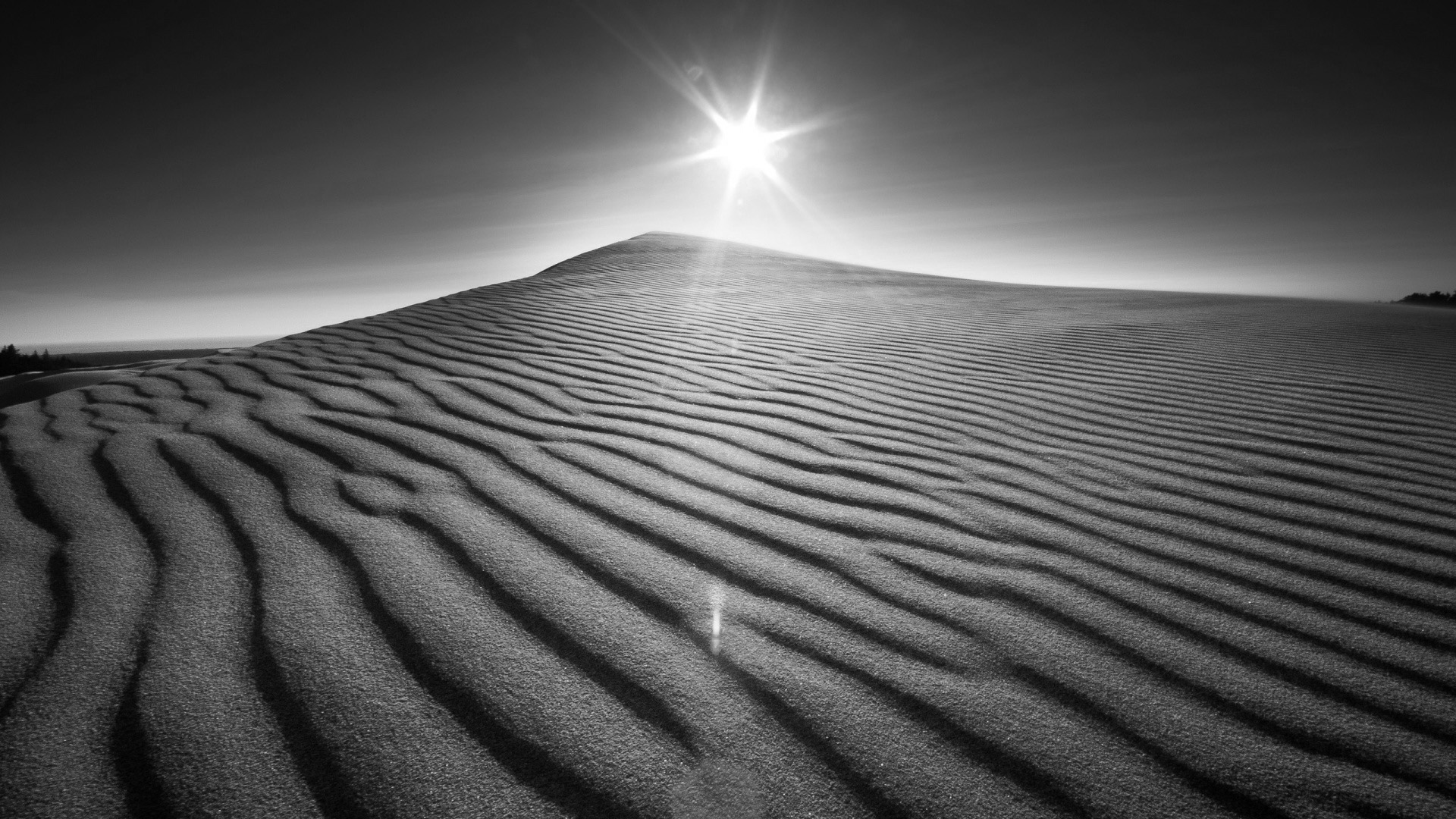1059_desert.jpg