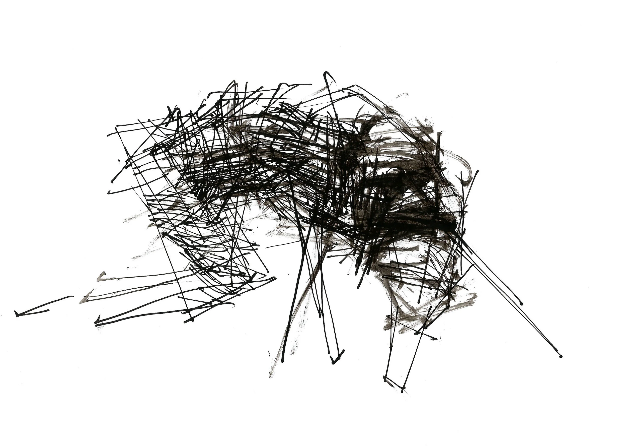  Ink on paper, 21 x 29.7 cm, 2020 