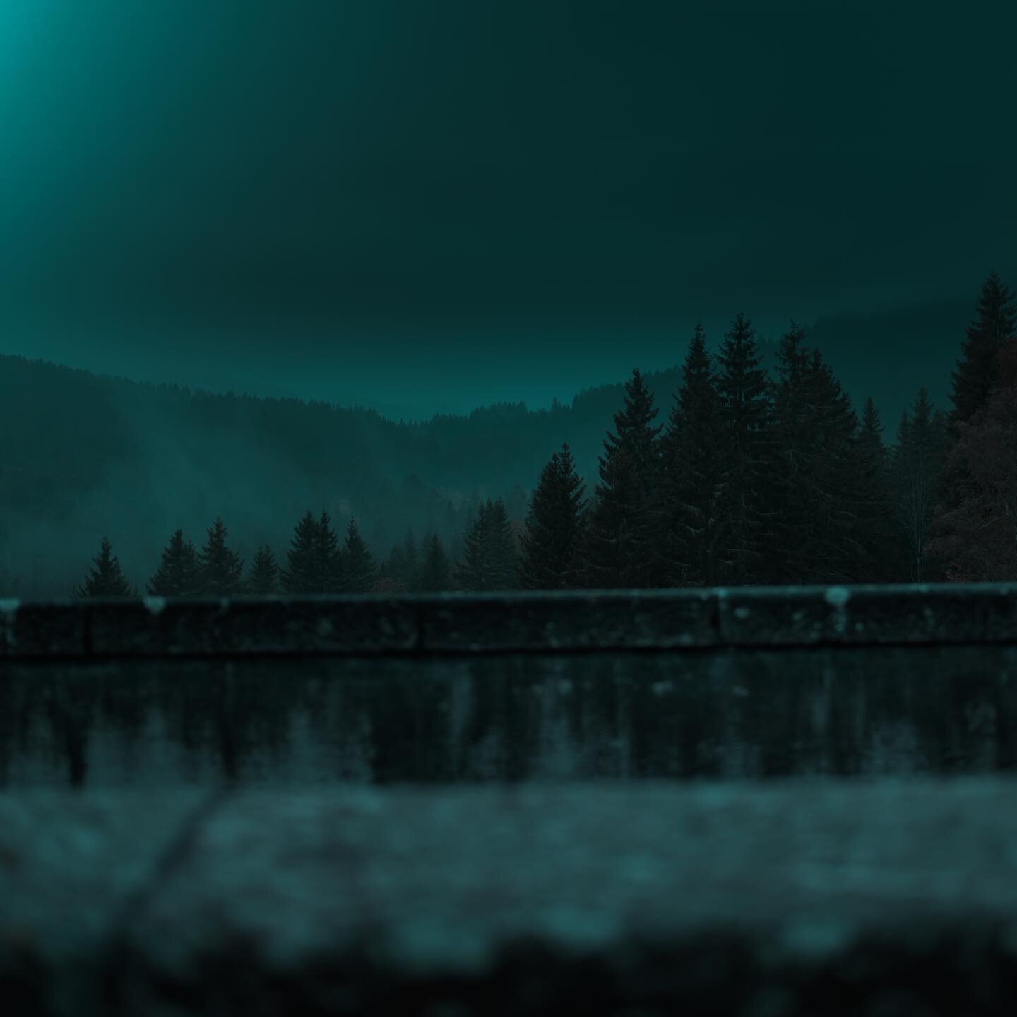 Early morning Black Forest in autumn #autumn #schluchsee #hochschwarzwald @hochschwarzwald #TLPicks #travel #adventure #wanderlust #vacation #travelgram #explore #holiday #travels #traveler #traveller #travelling #travelphotography #travelingram #tra