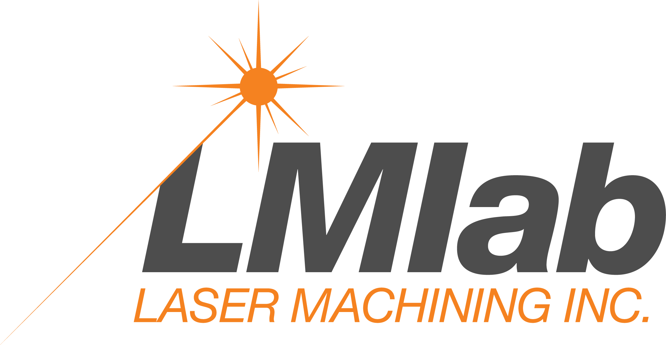 LMIab LOGO_POS_rgb.png
