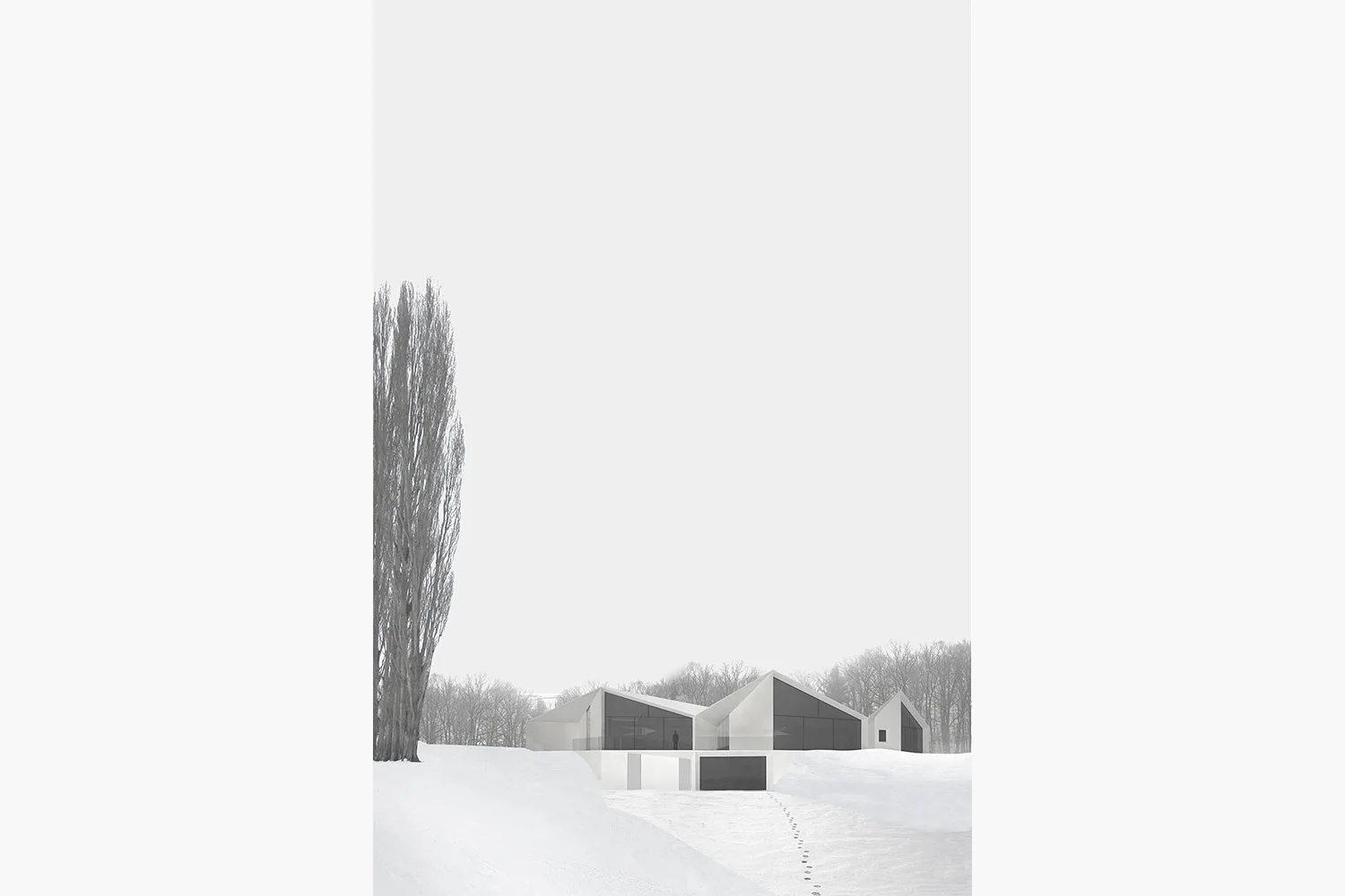 Studio-McLeod-Drummond-House-9.jpg