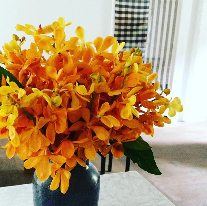 We often design single flower type arrangements. Thinking more about how overall shape and color effects the rooms decor. Here a mass of bright yellow vanda orchids add color to the room of neutrals