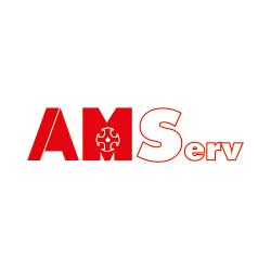 AMServ Süd GmbH & Co. KG (Copy)