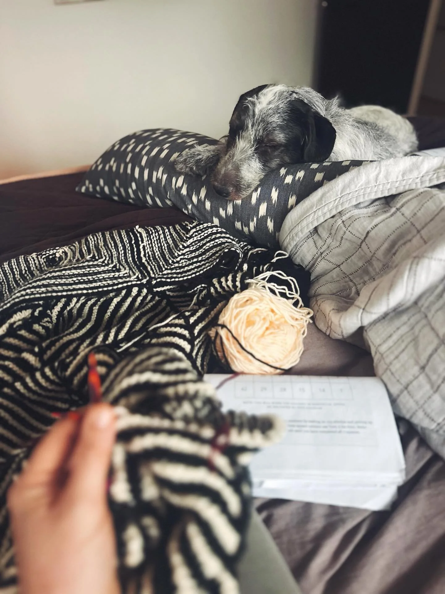 My favorite girl knows how to do snow days ❤️ #freya