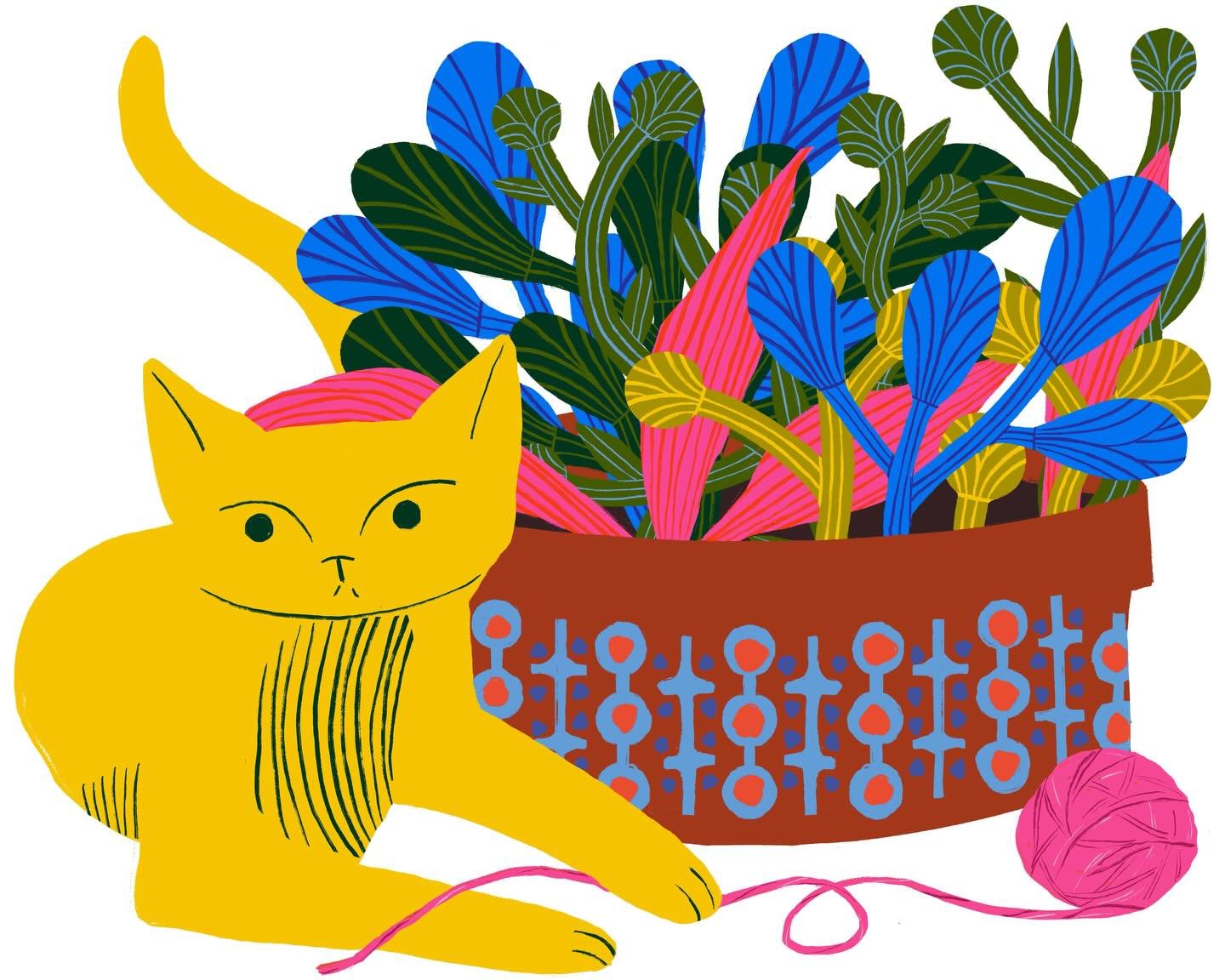 Just a little color and plant boost for your Wednesday. #happywednesday #plantlover #catlover #colorlover