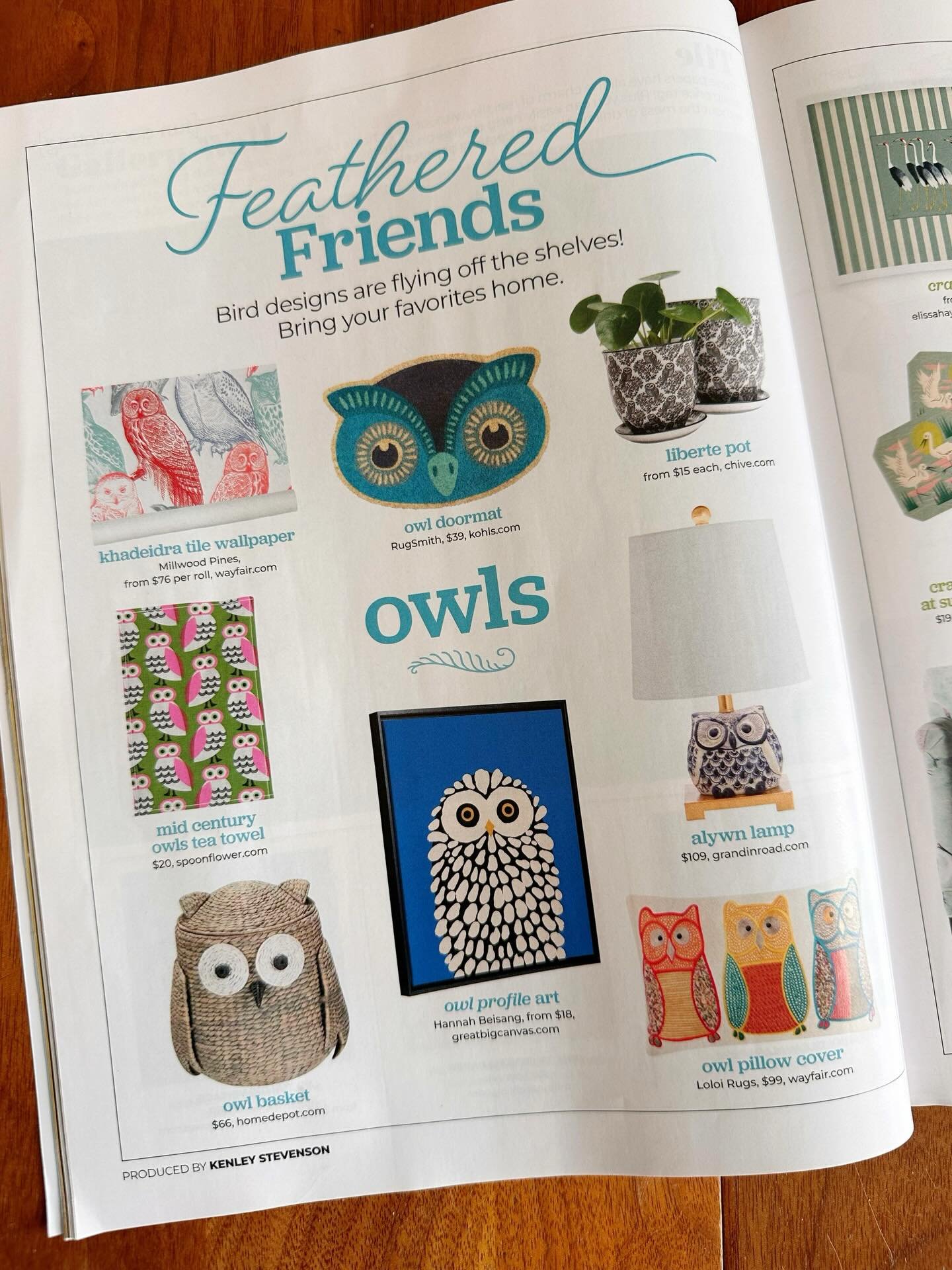Look whats out!! 🤩my Owl illustration made an appearance in @hgtv newest March/April edition. So fun to see it next to so many other feathered friends . @greatbigcanvas  #wallart
