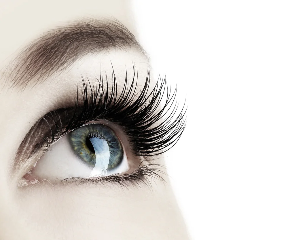 luxuslashes_01.jpg