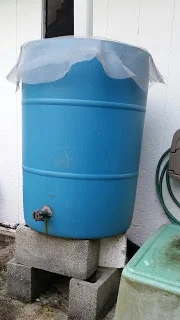 Meet My Rain Barrel