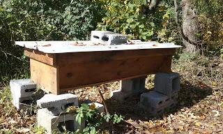 Top Bar Hive built by IV