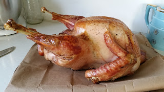 Bob the Turkey