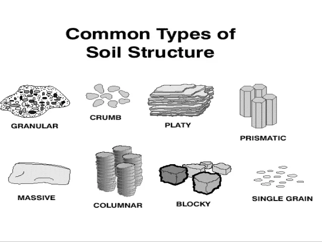 Image courtesy of Google 