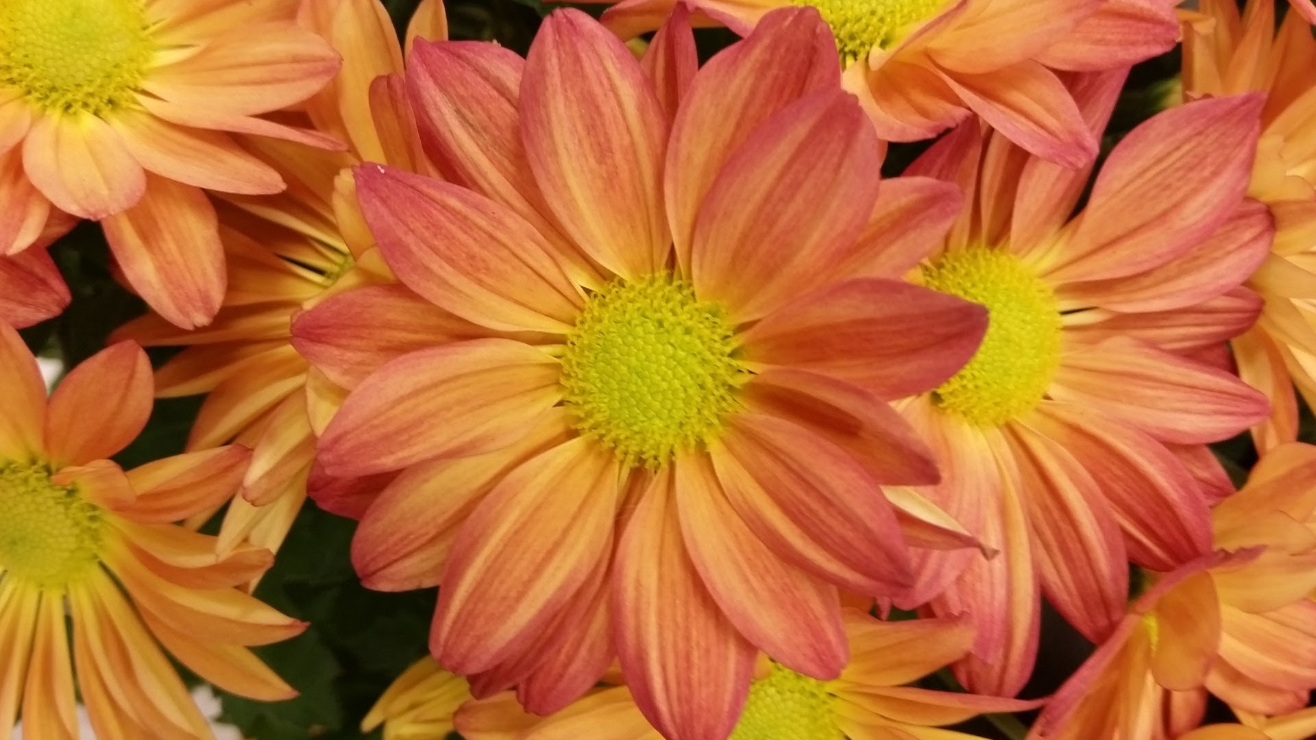 20160909_144305.jpg