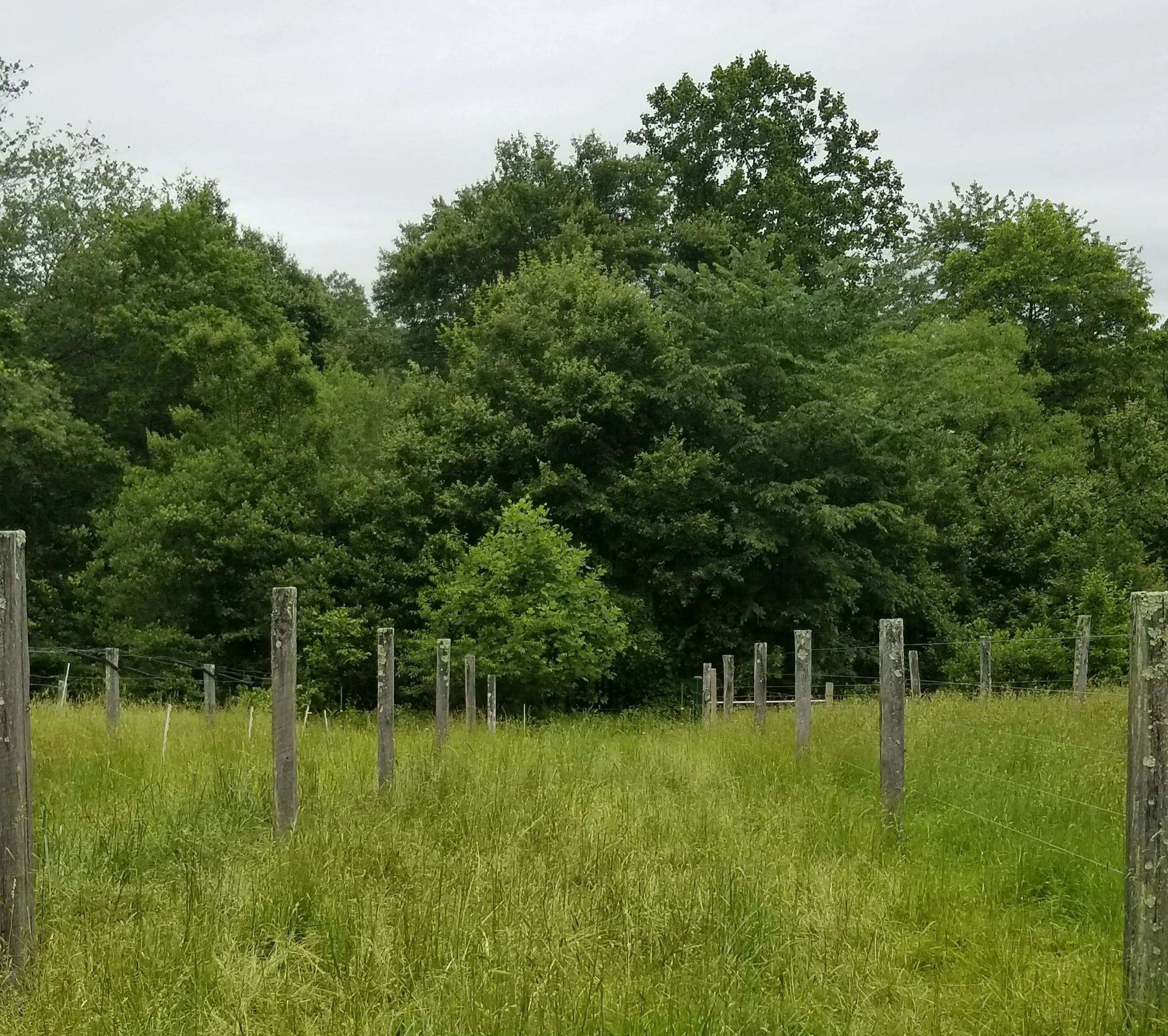20180603_145820.jpg