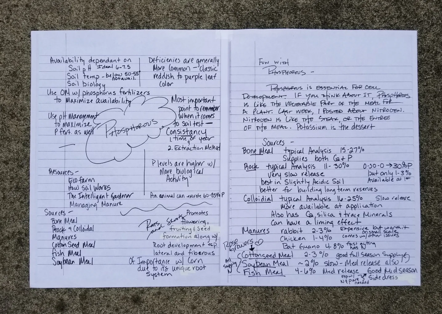 20181022_100233.jpg