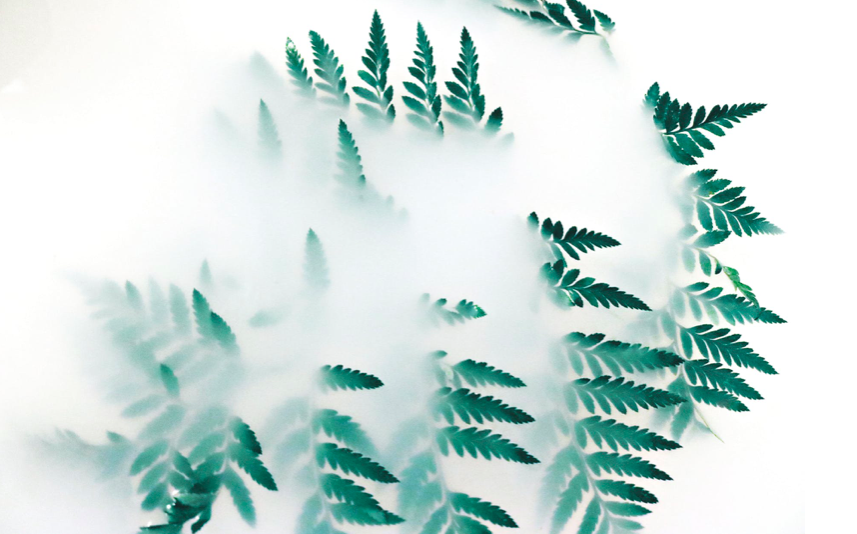 Screen Shot 2019-04-03 at 12.37.43 PM.png