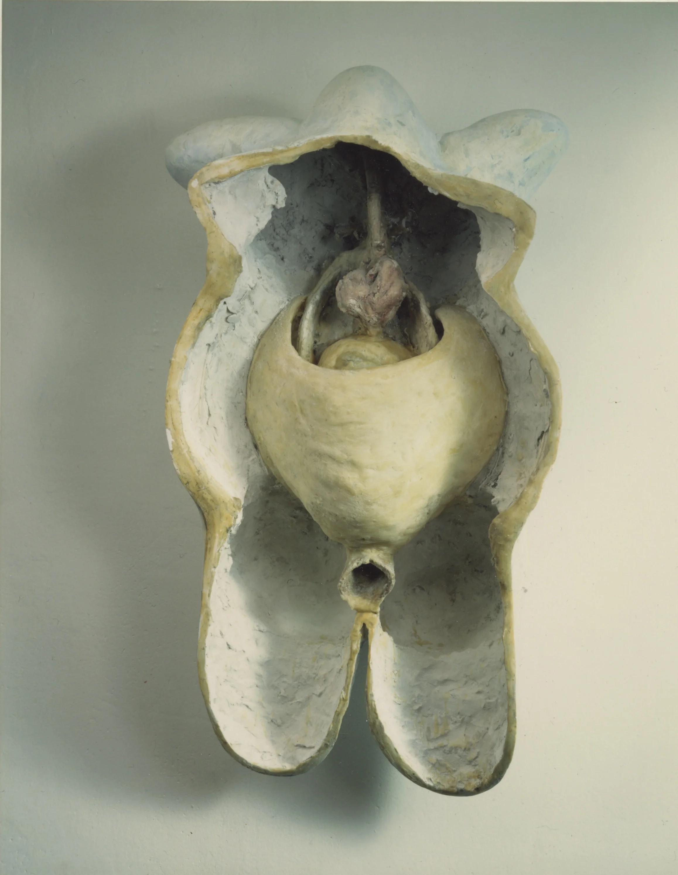 No title (margarethe Fuchs.jpeg