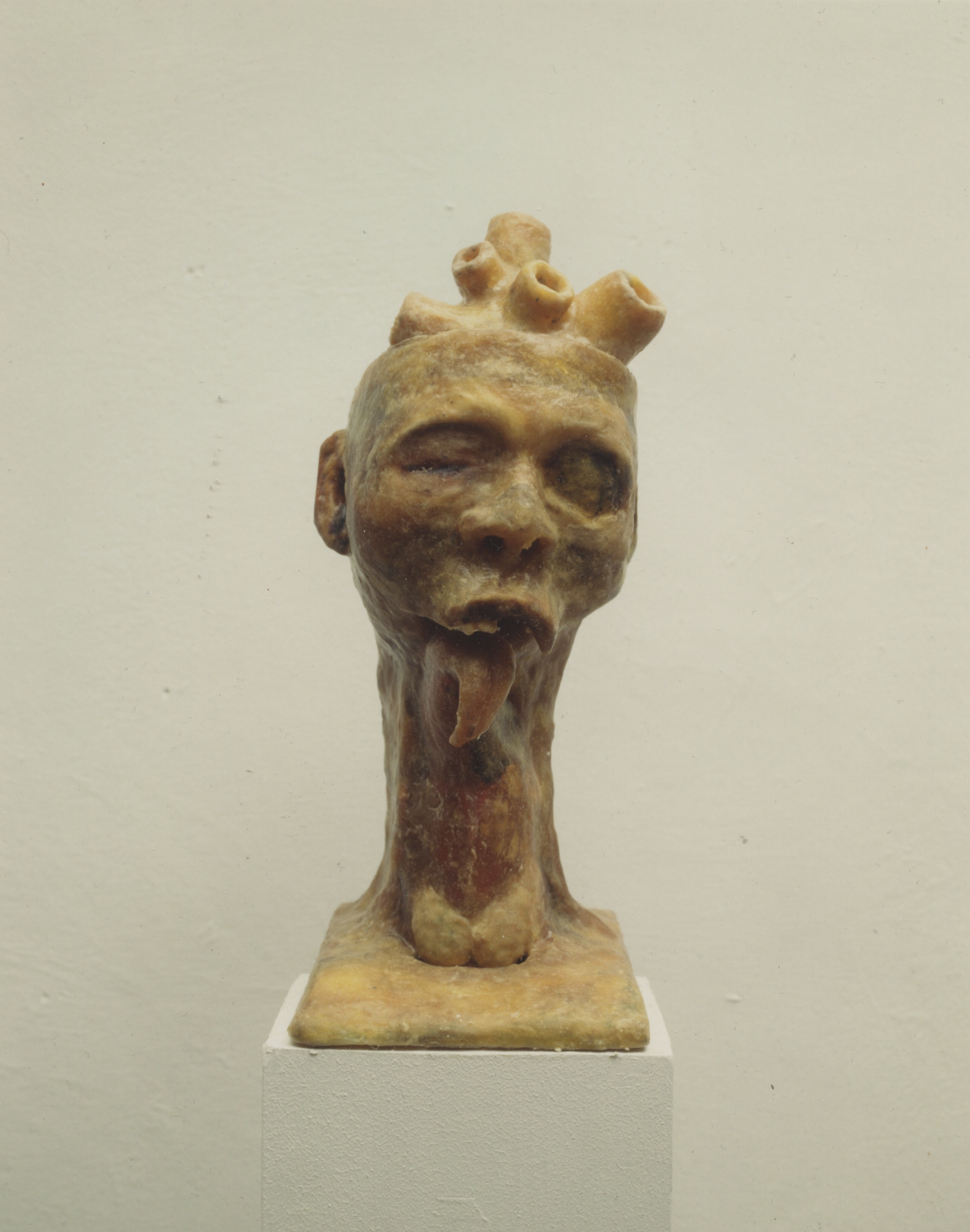 “Head”, 1994.Mixed media: plastikk stamme med voks