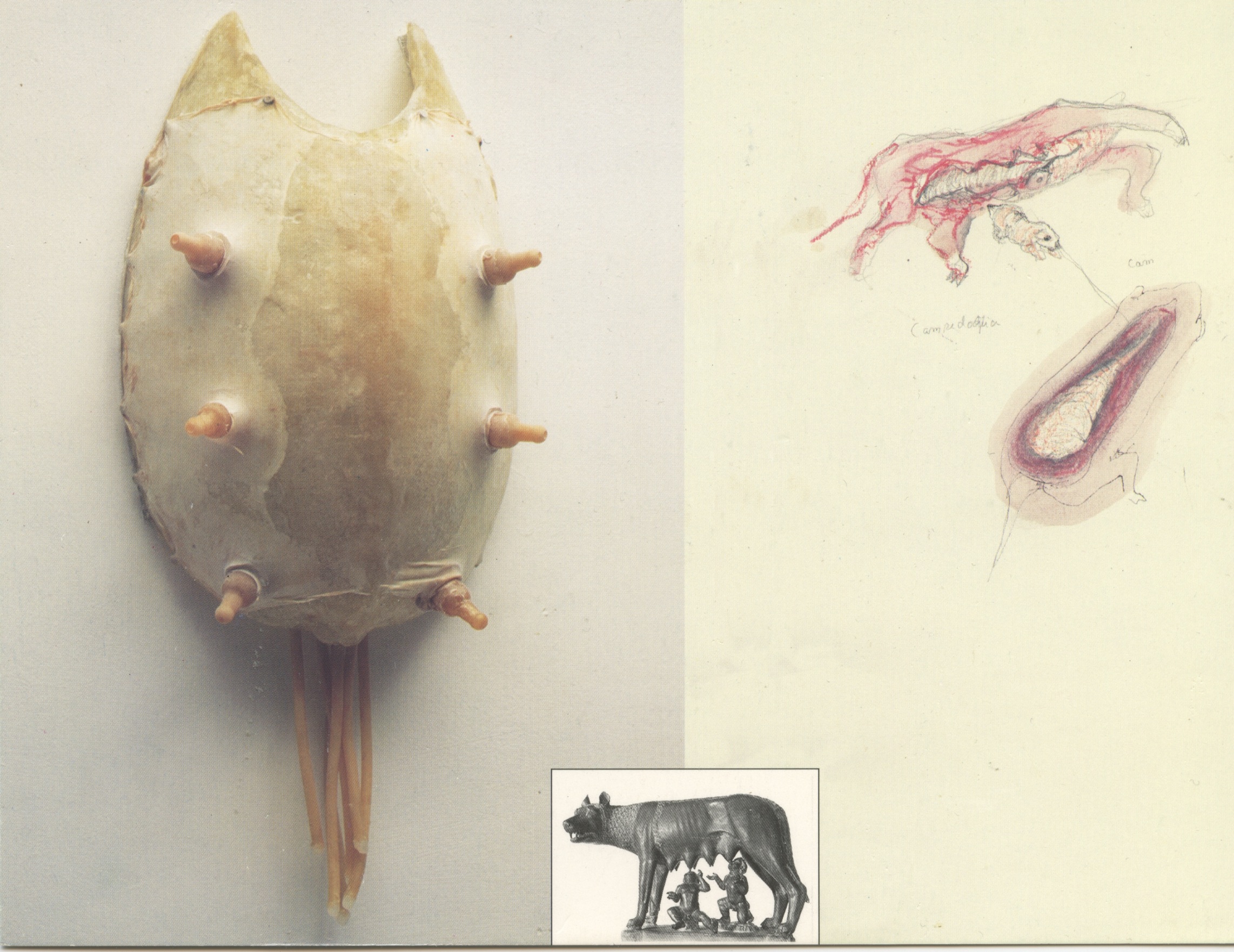 “Lupa”, 1994.Mixed media: tåteflaskesmokker, latex, epoxy og gummislanger